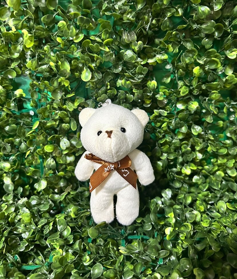 mini urso de pelucia (Chaveiro)
